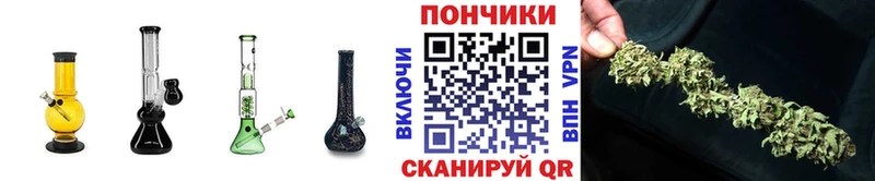наркотики  Апрелевка  Бошки марихуана сатива 